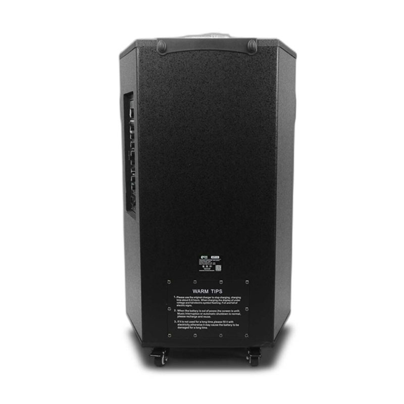 Loa Kiwi XT15, 800W, Bass 40cm, Kèm 2 Tay mic-4