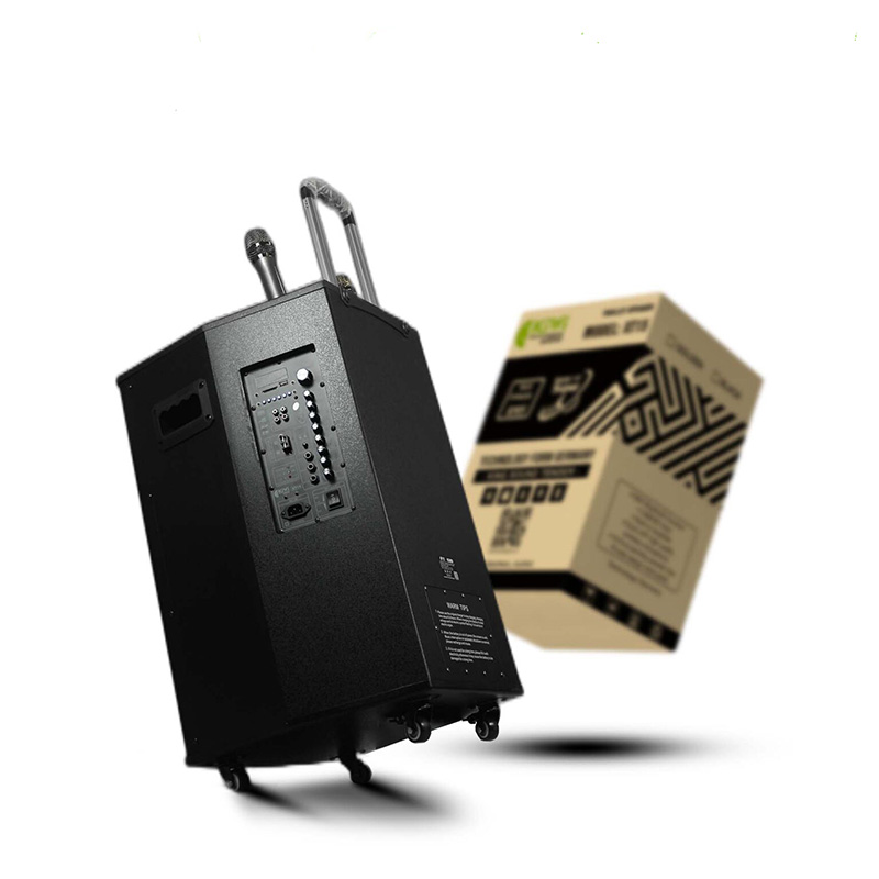 Loa Kiwi XT15, 800W, Bass 40cm, Kèm 2 Tay mic-6