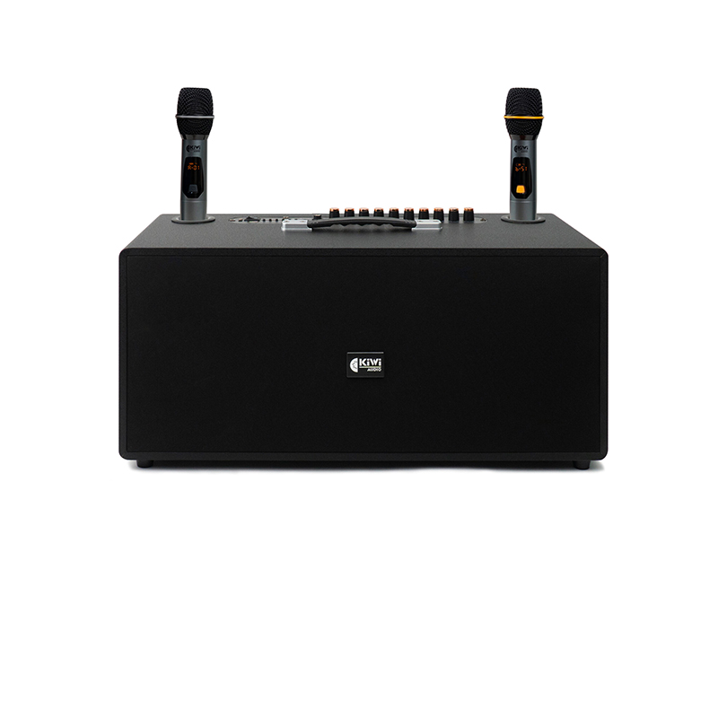 Loa Kiwi XT220