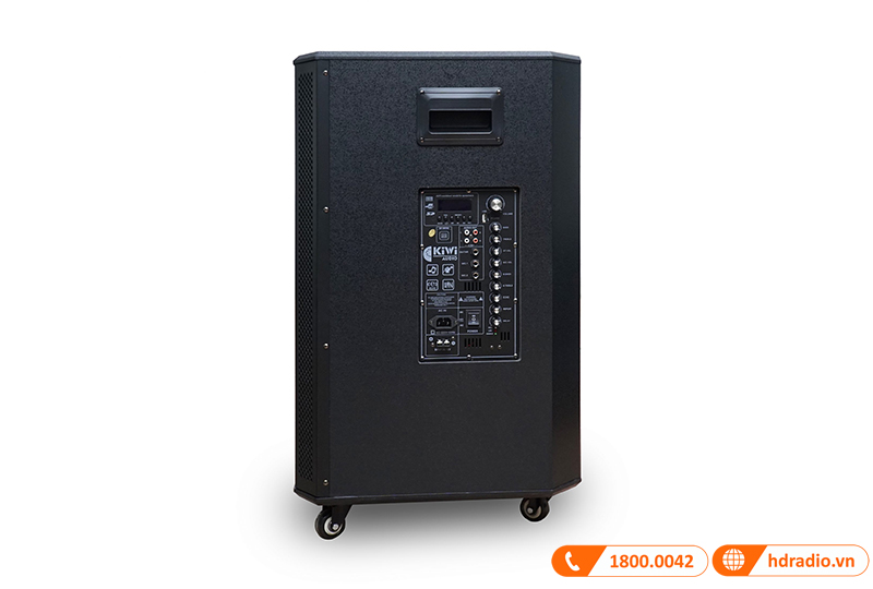 cac ngo vao cua loa kiwi k6018