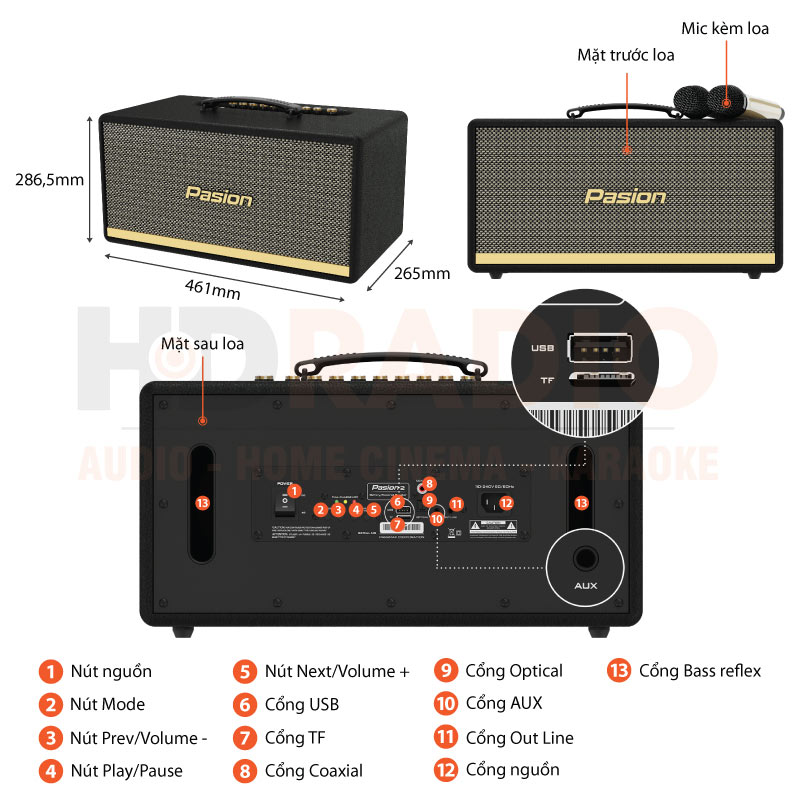Loa Paramax Pasion 2, Công Suất 100W, Bluetooth 5.0, Pin 5 giờ, Optical, USB, AUX, Kèm 2 tay mic-1