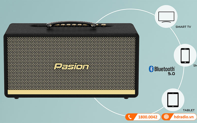 Loa Paramax Pasion 2 trang bị bluetooth 5.0