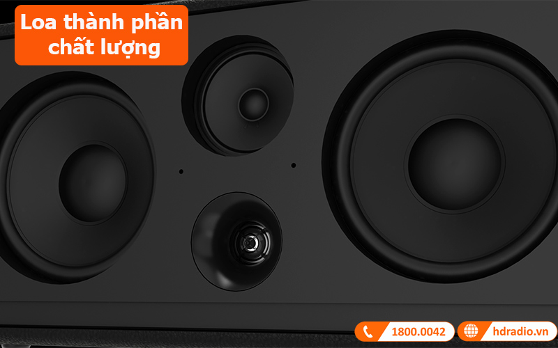 Loa Paramax Pasion 2 loa thành phần chất lượng