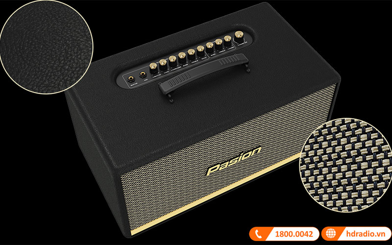 Loa Paramax Pasion 2 thiết kế ấn tượng