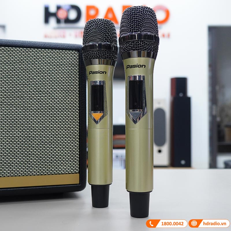 Loa Paramax Pasion 2, Công Suất 100W, Bluetooth 5.0, Pin 5 giờ, Optical, USB, AUX, Kèm 2 tay mic-11