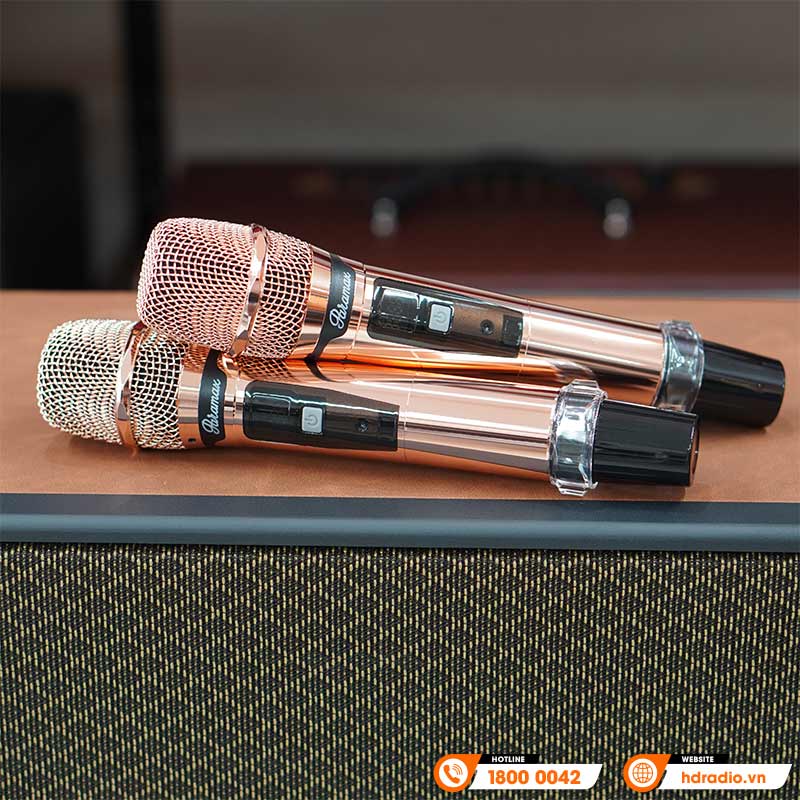 Loa Paramax Aura, Công suất 250W, Pin Từ 3-5 Giờ, Bluetooth 5.3, USB, HDMI (ARC), Optical, AUX, Kèm 2 Micro-9