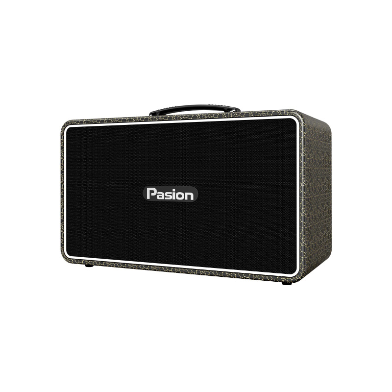Loa Paramax Pasion Arte, Công suất 225W, Bluetooth 5.3, Kèm 2 mic-2
