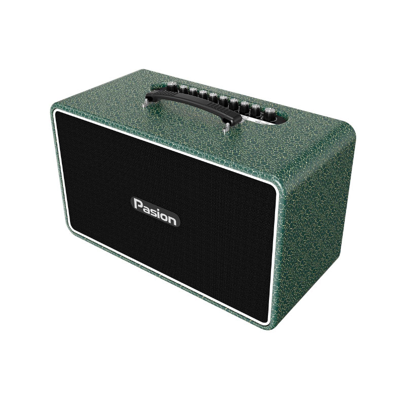 Loa Paramax Pasion Arte, Công suất 225W, Bluetooth 5.3, Kèm 2 mic-7