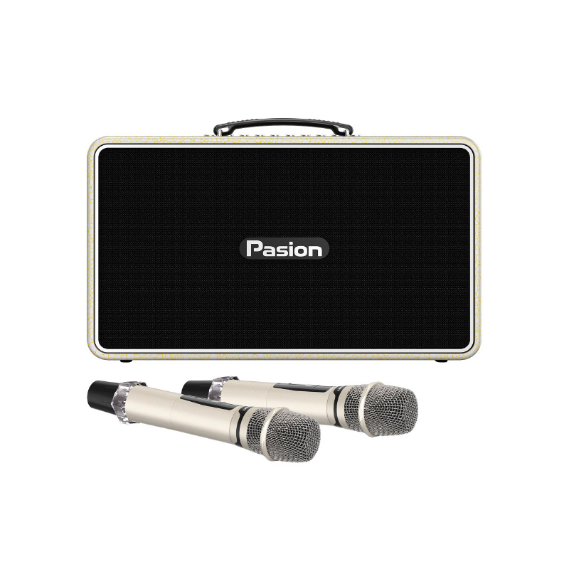 Loa Paramax Pasion Arte, Công suất 225W, Bluetooth 5.3, Kèm 2 mic-5