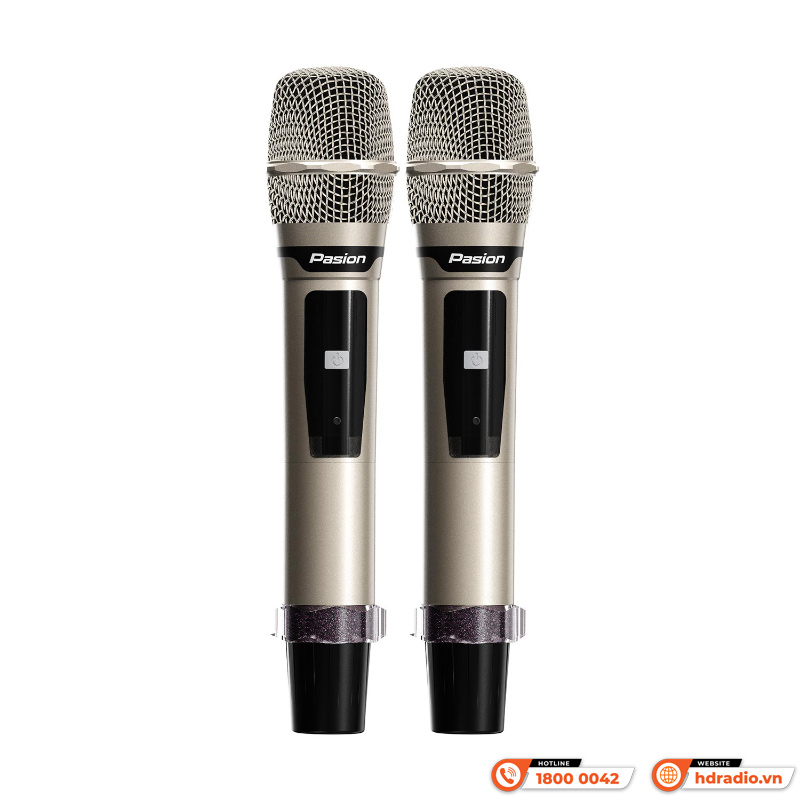 Loa Paramax Pasion Enzo