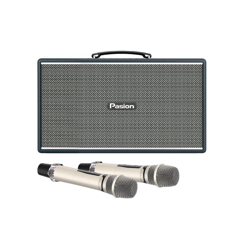 Loa Paramax Pasion Enzo, Công suất 225W, Bluetooth 5.3, Lithium-iron, Kèm 2 Micro-2