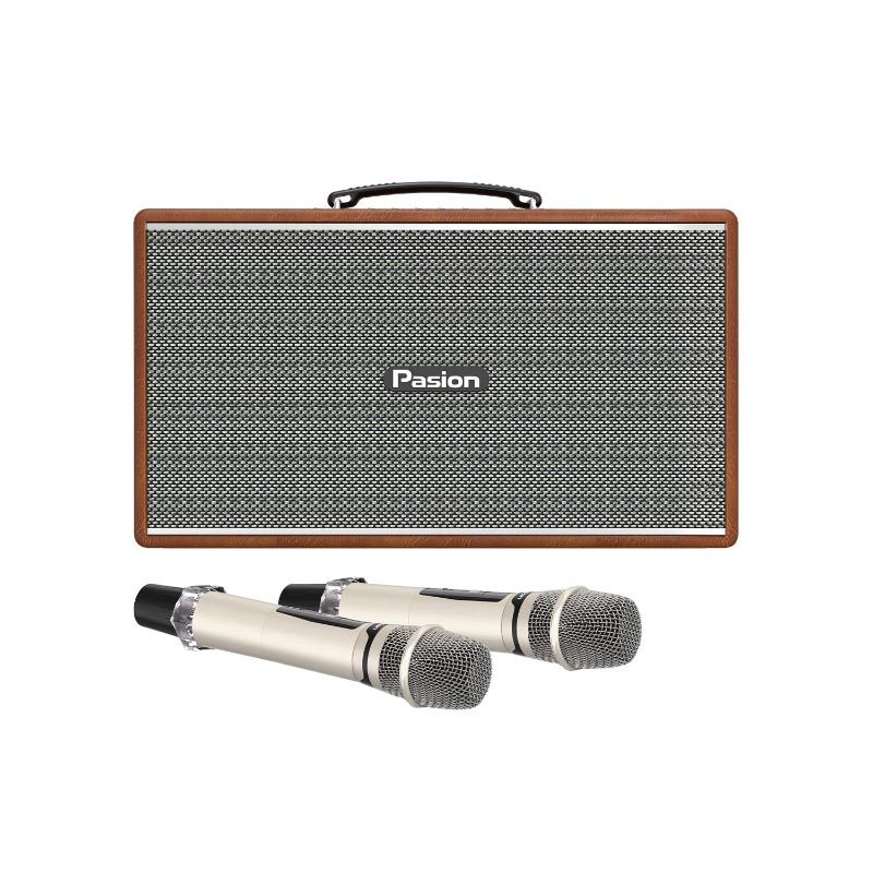 Loa Paramax Pasion Enzo, Công suất 225W, Bluetooth 5.3, Lithium-iron, Kèm 2 Micro-3