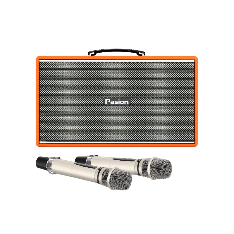 Loa Paramax Pasion Enzo, Công suất 225W, Bluetooth 5.3, Lithium-iron, Kèm 2 Micro-5