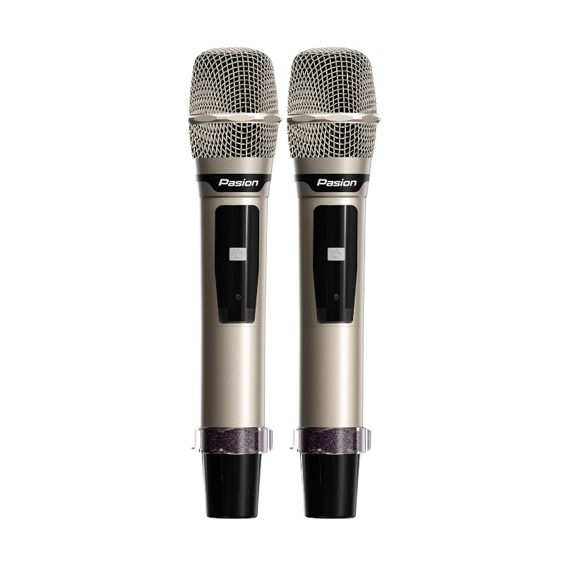 Loa Paramax Pasion Enzo, Công suất 225W, Bluetooth 5.3, Lithium-iron, Kèm 2 Micro-6