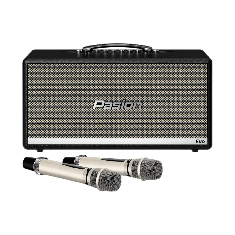 Loa Paramax Pasion Evo, Bass 16.5cm, 210W, Bluetooth 5.3, Kèm 2 tay mic (NEW 2025)-1