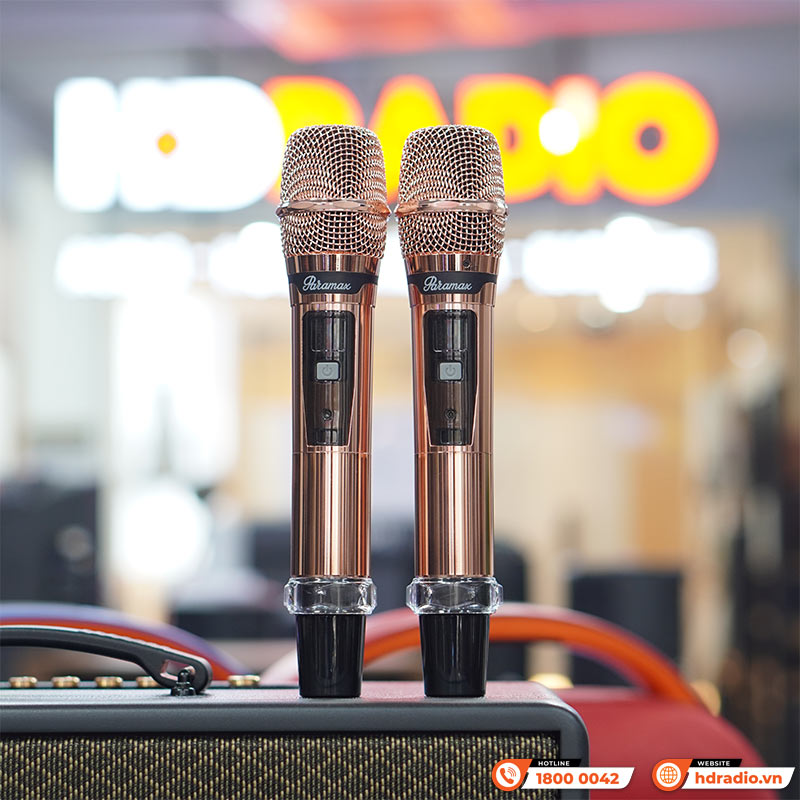 Loa Paramax Saga, Bass 20cm, Công suất 300W, Bluetooth 5.3, Kèm 2 tay micro (NEW 2025)-12