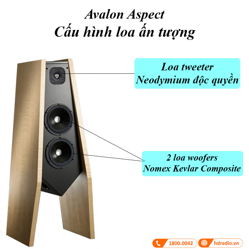 Cấu hình loa hoàn hảo Loa Đứng Avalon Aspect