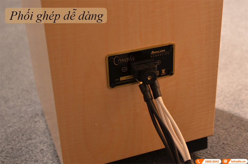 Loa Đứng Avalon Compas Diamond