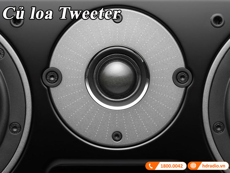 cu loa tweeter ngoai co
