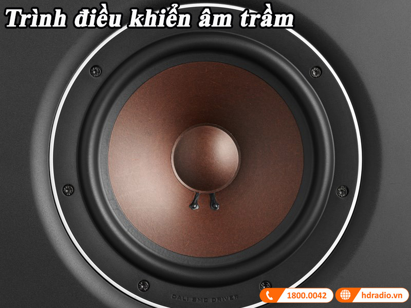 2 cu loa woofer duoc ung dung cong nghe mang soi go doc quyen