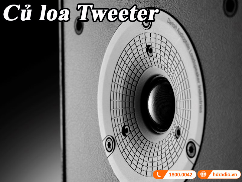 cau truc cu loa tweeter