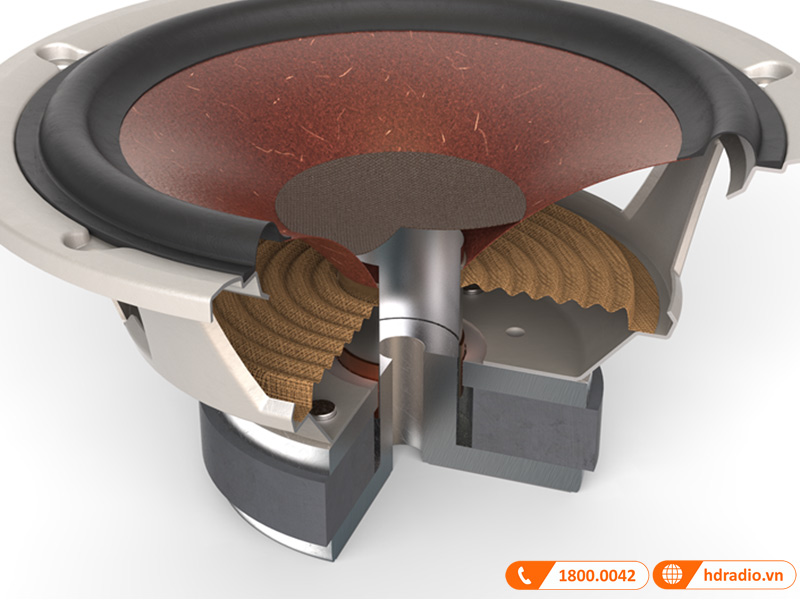 cau truc cu loa woofer