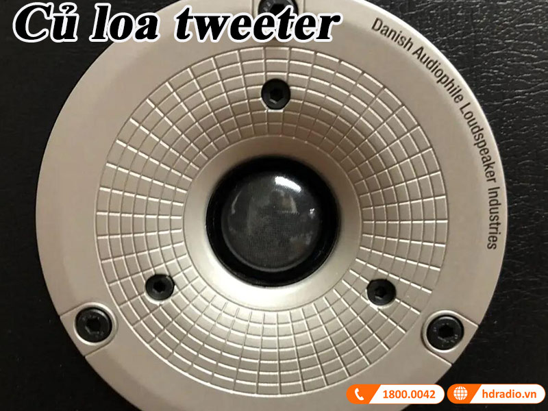 cu loa tweeter cao cao cua Dali Spektor 2