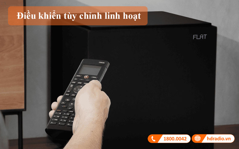 Loa Sub Definitive Technology Descend DN15 dieu khien