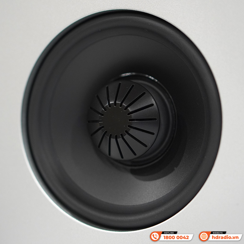 Loa Definitive Demand D7-5