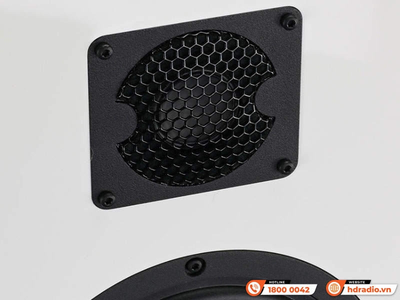 Loa Gauder Akustik Arcona 60 MK II Loa Gauder Akustik Arcona 60 MK II