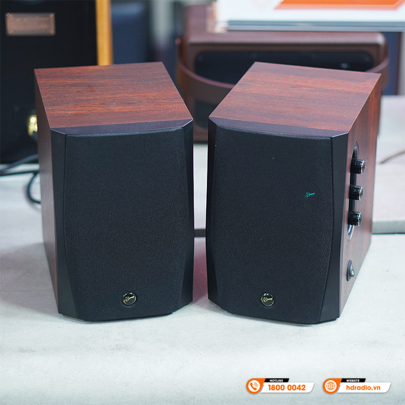 Loa Hivi Swan D1100, Bass 10cm, Công suất 62W, Bluetooth, Optical, Coaxial và Line-12