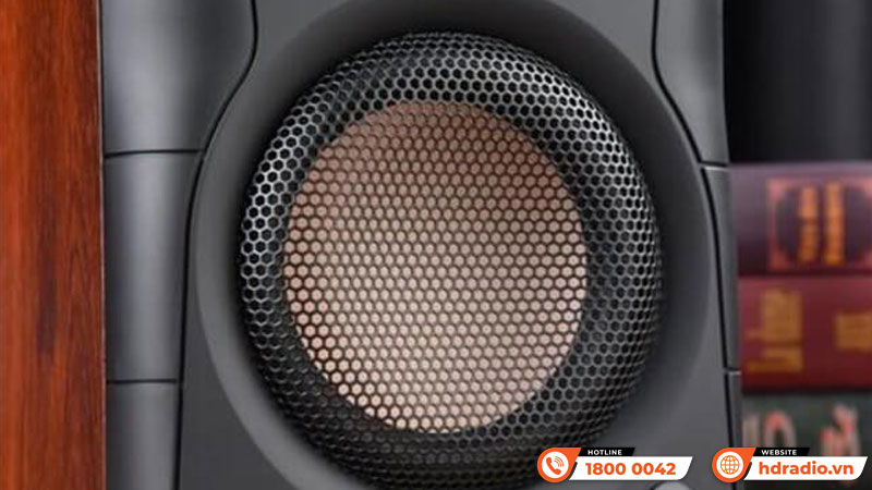 Bass Loa Hivi Swan D200