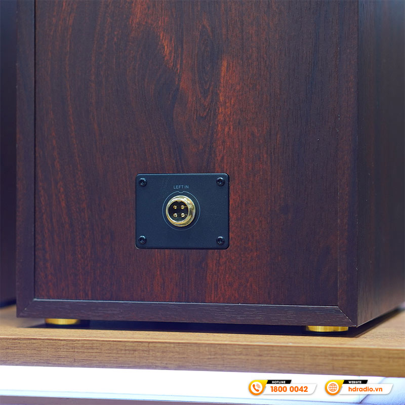 Loa Hivi Swan D300, Công suất 300W, Bluetooth, Optical, Coaxial, RCA, XLR-10