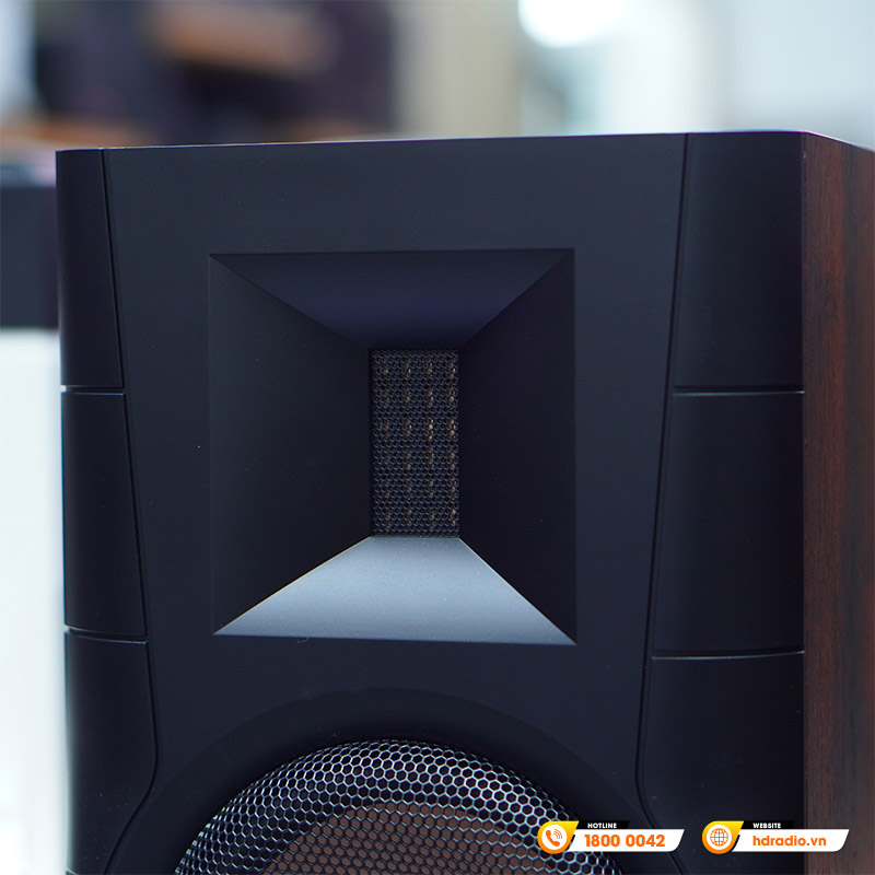 Loa Hivi Swan D300, Công suất 300W, Bluetooth, Optical, Coaxial, RCA, XLR-6