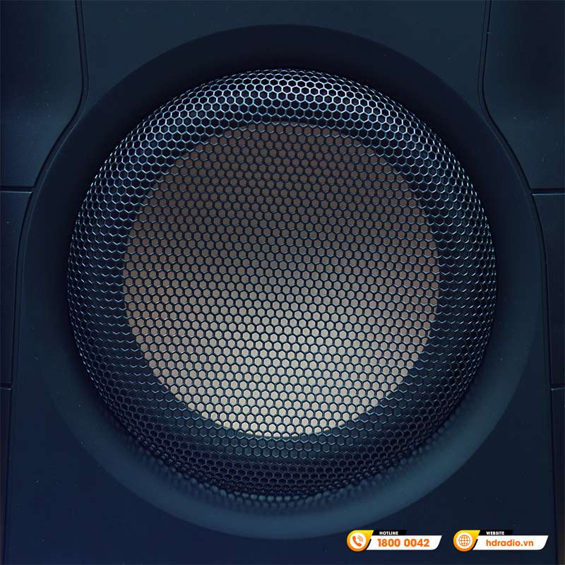 Loa Hivi Swan D300, Công suất 300W, Bluetooth, Optical, Coaxial, RCA, XLR-7