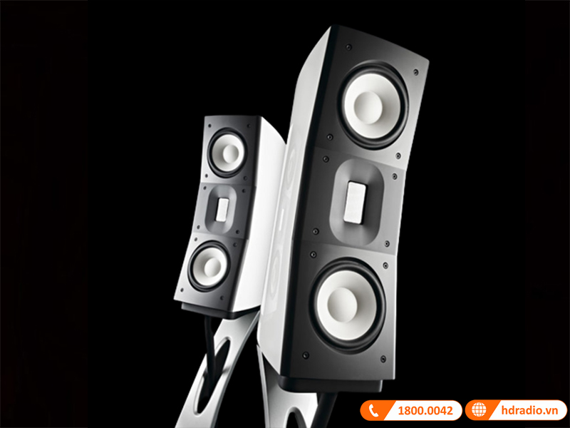 Loa Raidho C centric Loa Raidho C centric