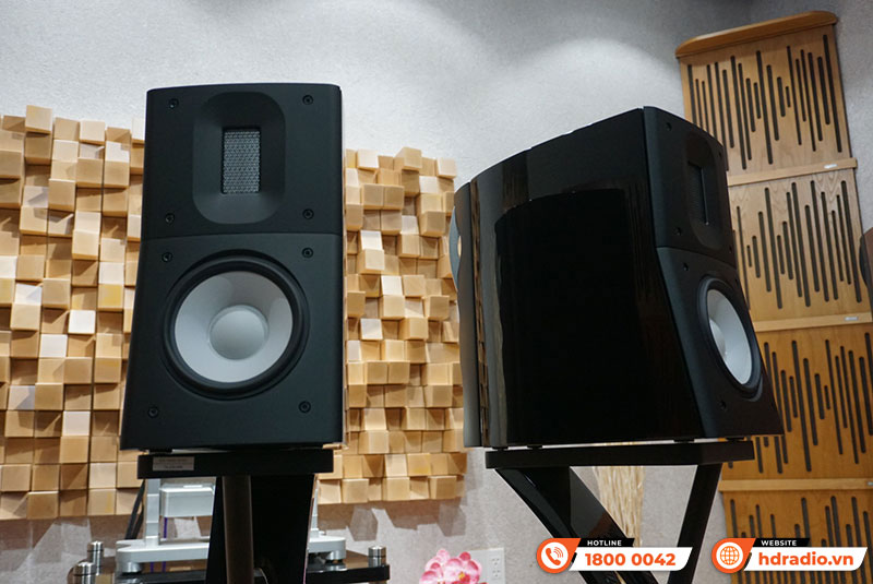 Âm thanh Loa Raidho C1.2