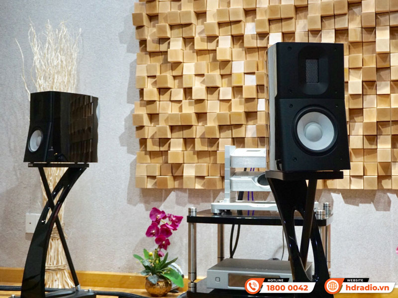 Phối ghép Loa Raidho C1.2