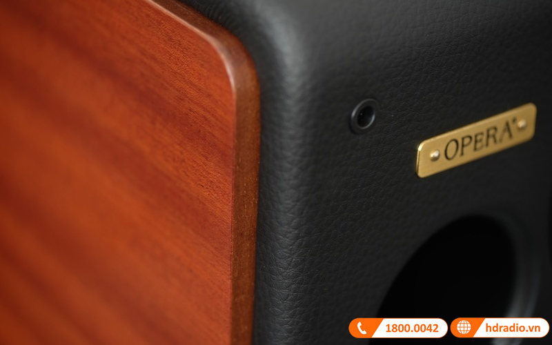 thung loa duoc bao boc boi lop da va go mdf cao cap