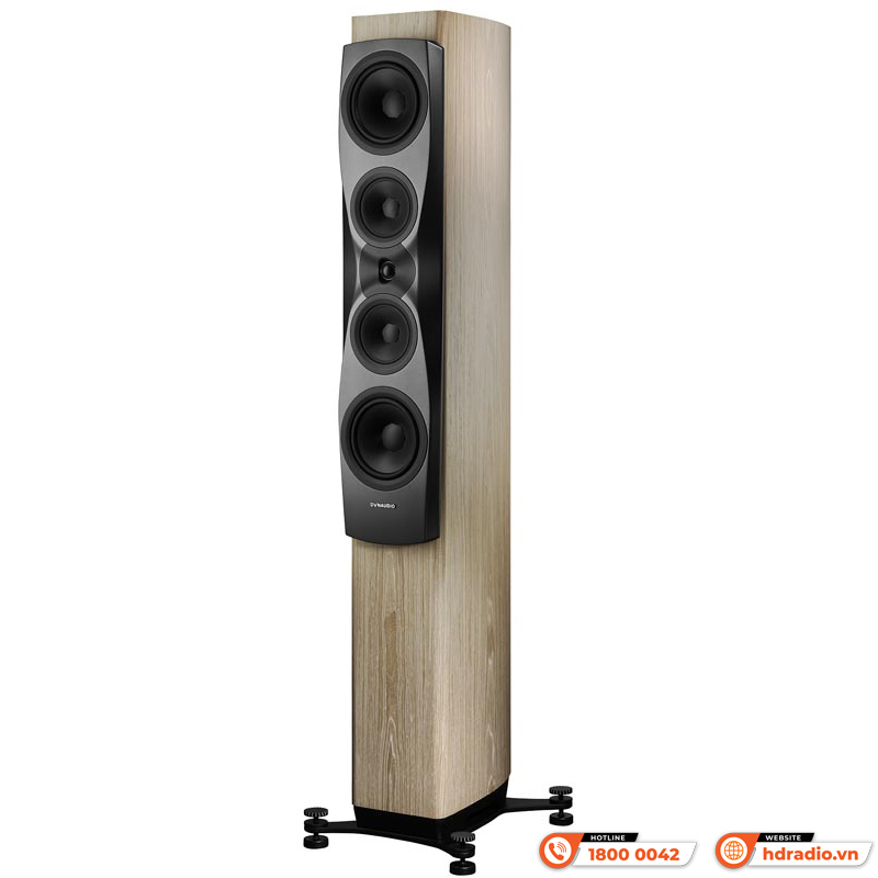 Loa Dynaudio Confidence 50 (Bass 18cm x 2, 400W, 87 dB, 4 Ohms, 35 Hz - 22 kHz)-4