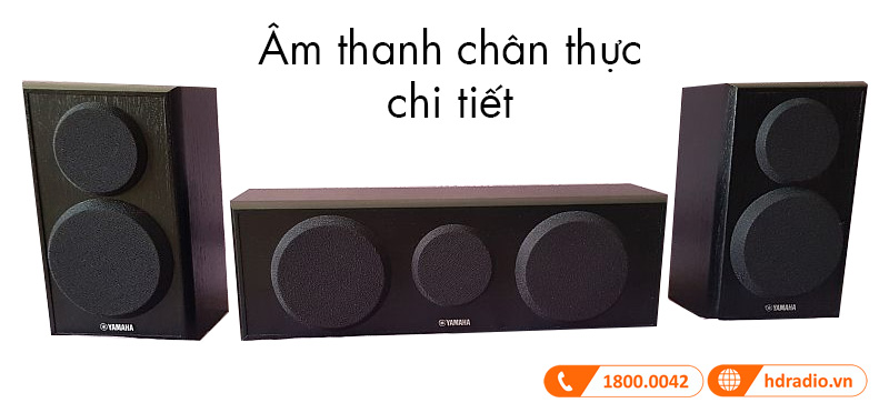 Am thanh Yamaha NS-P150