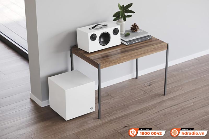 Loa Sub AudioPro SW-5 