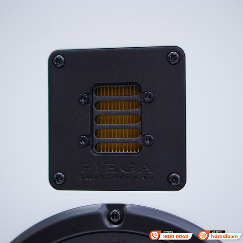 Loa Piega Classic 3.0 (Độ nhạy 89dB, Tần số 38Hz-40KHz)-7