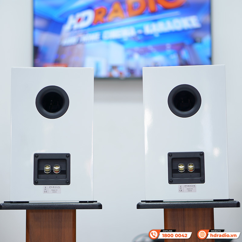 Loa Piega Classic 3.0 (Độ nhạy 89dB, Tần số 38Hz-40KHz)-10