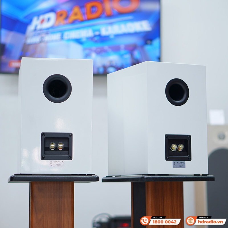 Loa Piega Classic 3.0 (Độ nhạy 89dB, Tần số 38Hz-40KHz)-11