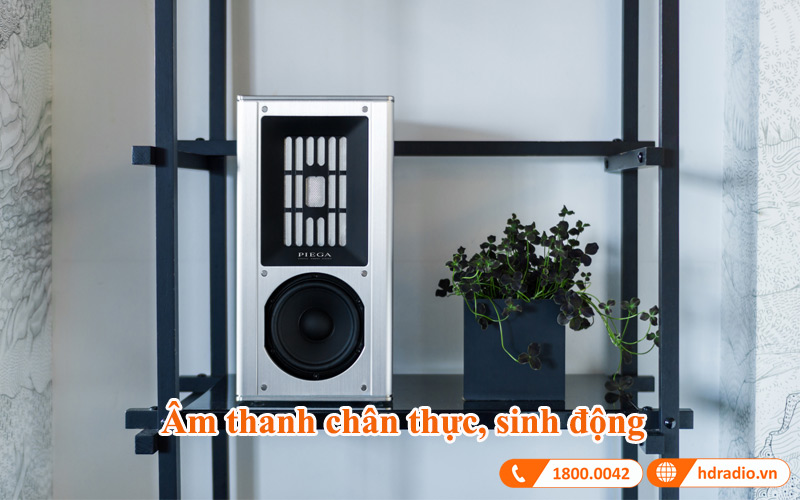 am thanh loa piega coax 311