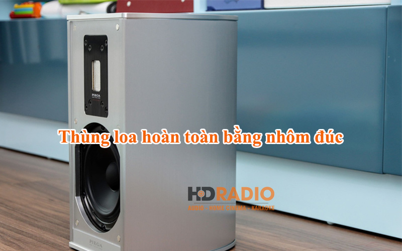 thung loa piega premium wireless 301