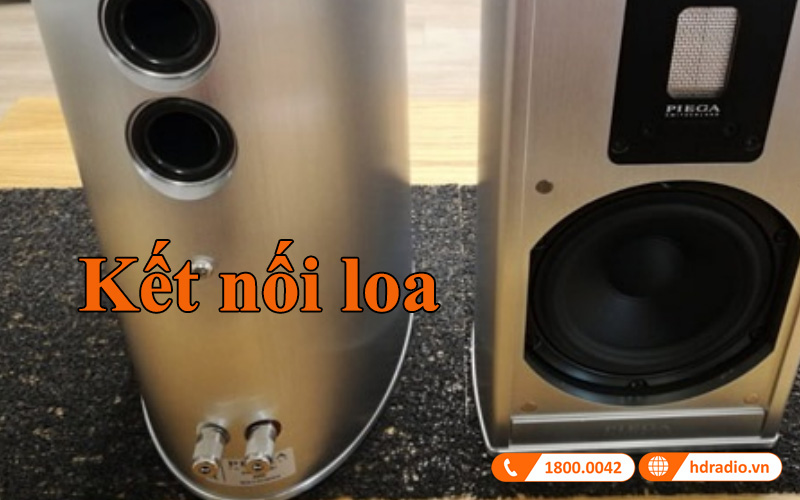 ket noi loa bookshelf piega premium 301 