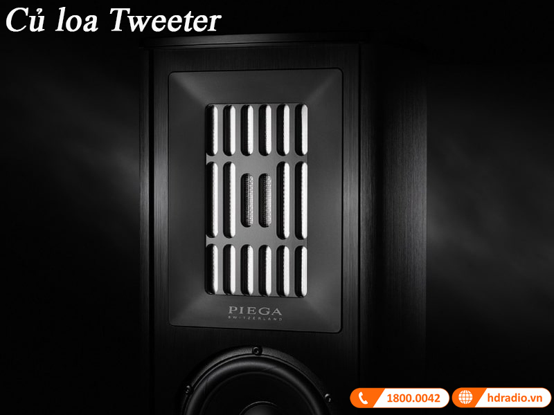cu loa tweeter trung gian