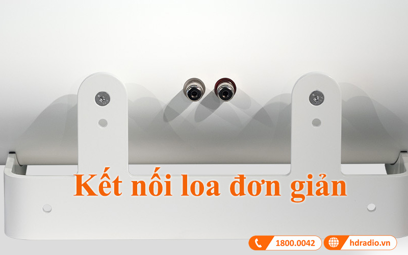 ket noi loa center piega coax 111